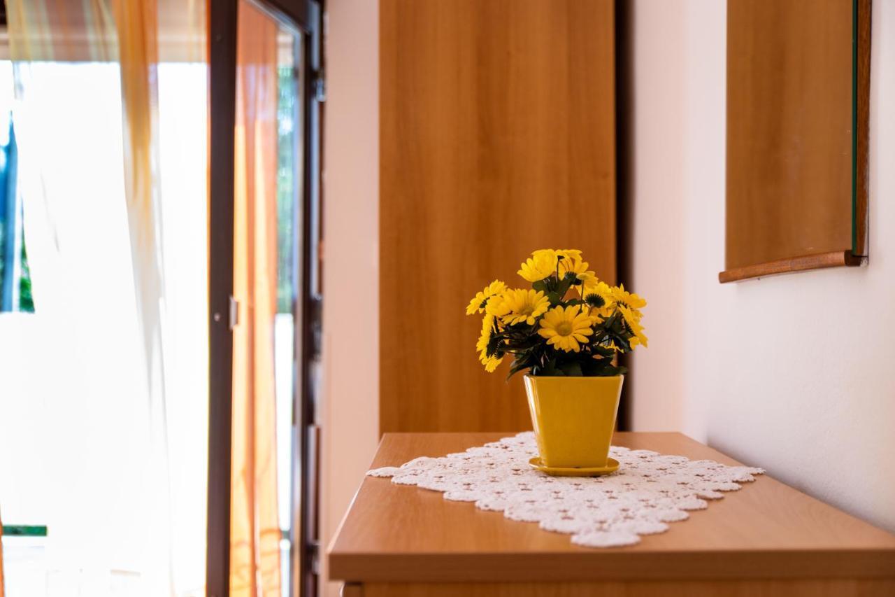 Apartmani Centar New Translation Exteriér fotografie